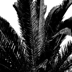 Minit One Meditation