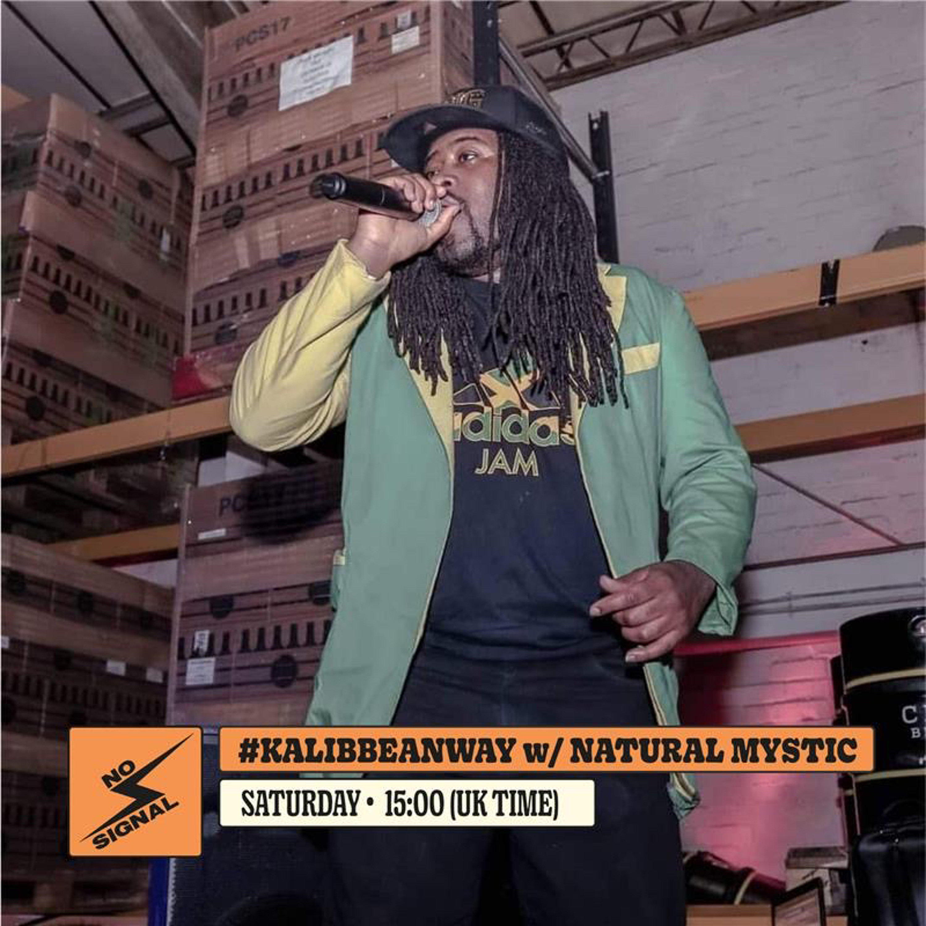 Ska, Reggae, Dancehall 876 Special @NaturalMysticDj  - 06/08/2022 - #KalibbeanWay - @TheresNoSignall episode artwork