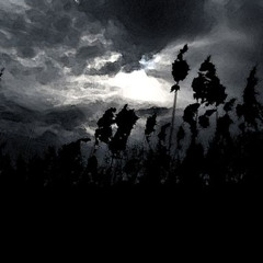 RØVAS | Schranz DJ Set (160Bpm)