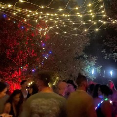 In to the forest - Downdeep 10#  22.08.25