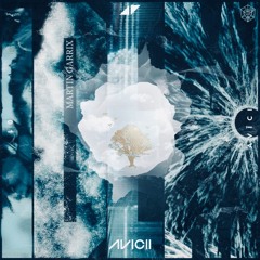 Martin Garrix&Avicii-Carry You vs Lonely Together(Tanvik Mashup)