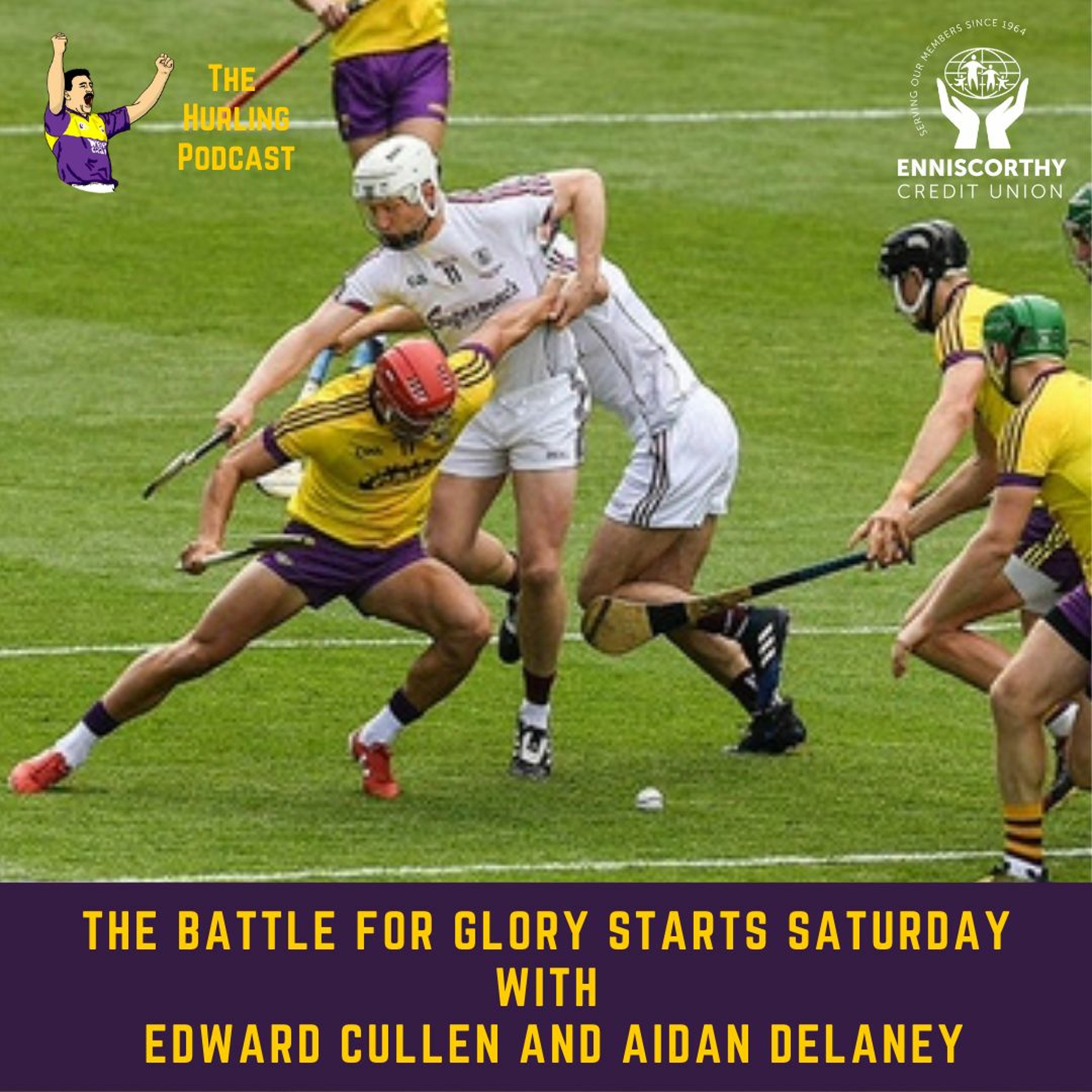 The Wexford Hurling Podcast