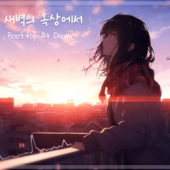 새벽의 옥상에서