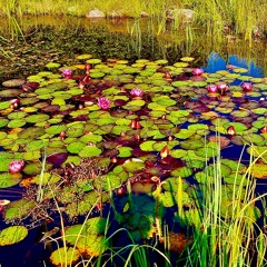 For All We Know. Aleck Rand and Oddrun Eikli