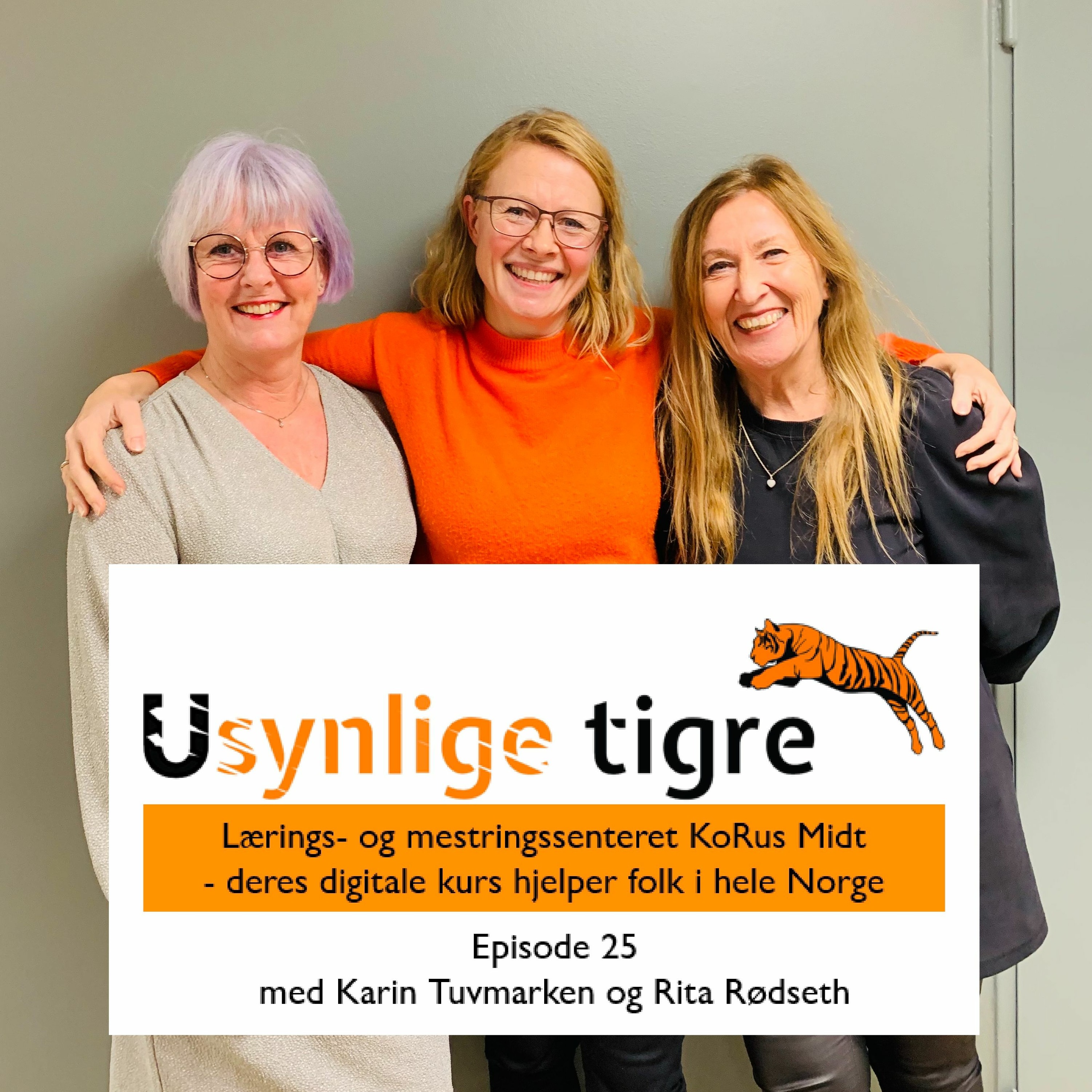 Usynlige tigre-podden