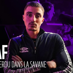 ASSAF - Un chien perdu dans la savane