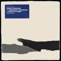 Danilo Plessow ft Francesco Geminiani | Peter Schlamb - Nightfall