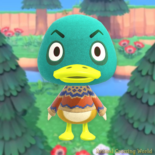 Drake Look Alike Animal