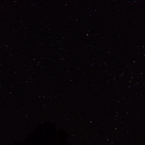 I’ve been sleeping in a cardboard box