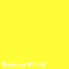 Summer #1 Haf