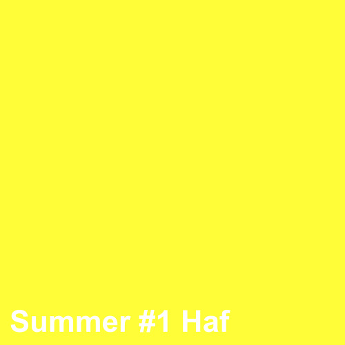 Summer #1 Haf