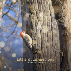 Little drummer boy