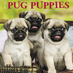 free PDF 📙 Just Pug Puppies 2018 Calendar by  Willow Creek Press [KINDLE PDF EBOOK E