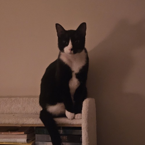 thewayido - (난 잘 지냈어)