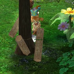 shine - stop (slowed & reverb)