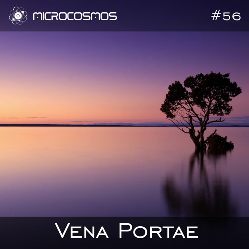 Vena Portae — Microcosmos Chillout & Ambient Podcast 056