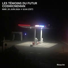 Les Témoins du Futur : Cosmic Neman - 25 Juin 2024