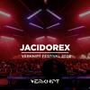 Jacidorex @ Verknipt Festival 2022 DJ mix artwork - Electronic music tracklist cover image