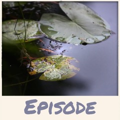 Episode