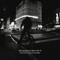 DINDEE Spring House Bites Vol. 8 - 15 Minutes miniMIX