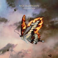 Nils Hoffmann - A Radiant Sign (Remixed)