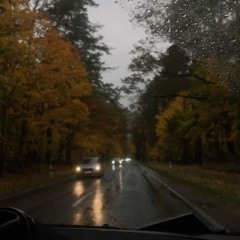 autumnLeavess #2pakk