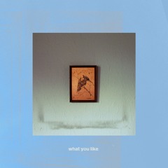 What You Like