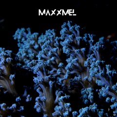 Corals