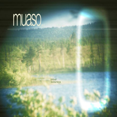 Hive Routine - Tribal [MUA002]