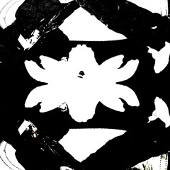 kiss the curb ft kadin (acelex)