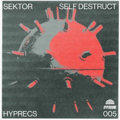 HYPRECS 005: Self Destruct (Self Destruct) - Error Code (DJ Bastard Power Booty Mix)