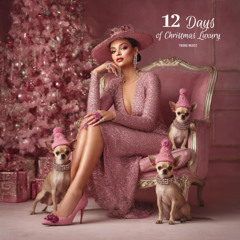 12 Days of Christmas Luxury