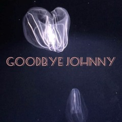 Goodbye Johnny