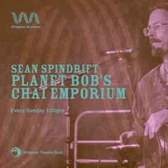 Widgeon Radio, Panet Bob Episode 1
