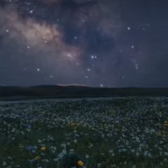 pluto projector (violin part only)
