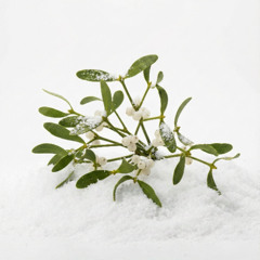 Under the Mistletoe - ft. Marianthi Olympia, Bishop Toussaint, & Kleo