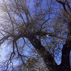 idgaf (prod. jdolla)