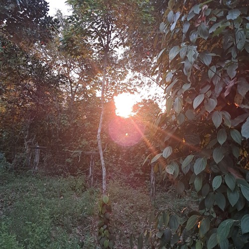 Teen vọng cổ remix