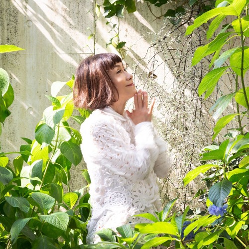 J-WAVE THE UNIVERSE 大貫妙子 2024 6 26 ブラジル・サウンド特集2