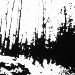 The Furniture - Strom