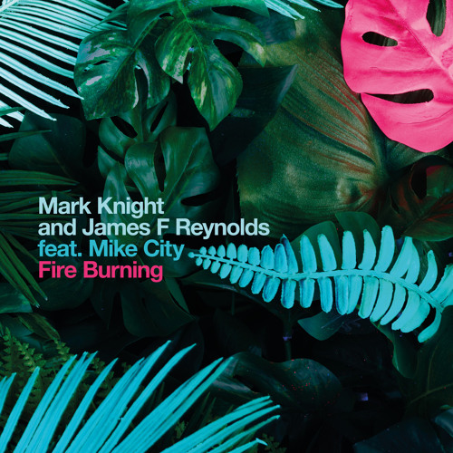 Fire Burning (TV Track) [feat. Mike City]