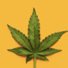 jamaican TECHNO REMIX.mp3