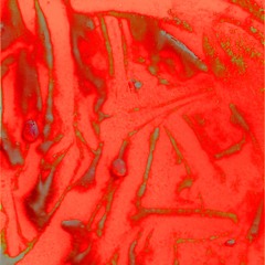 Inner Skin of Things