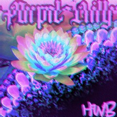 Purple Lilly