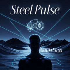 Steel Pulse Techno