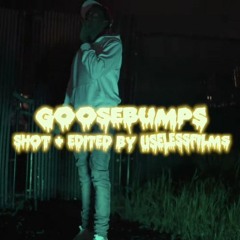Shawny Binladen - Goosebumps [Prod. Animism MRDA x AR.TV]