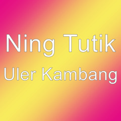 Uler Kambang