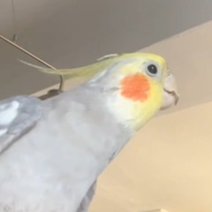 When the time is right?