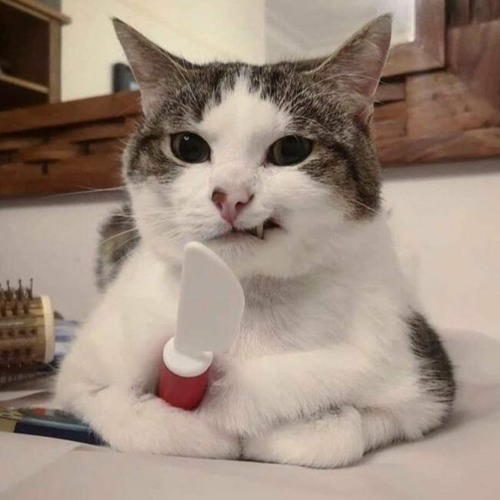 غيث  صباح _ اذا هجرت فمن لي