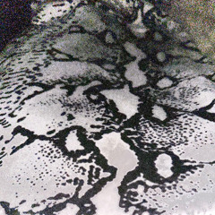 Snake Skin